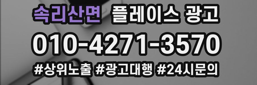 속리산면 플레이스 광고
