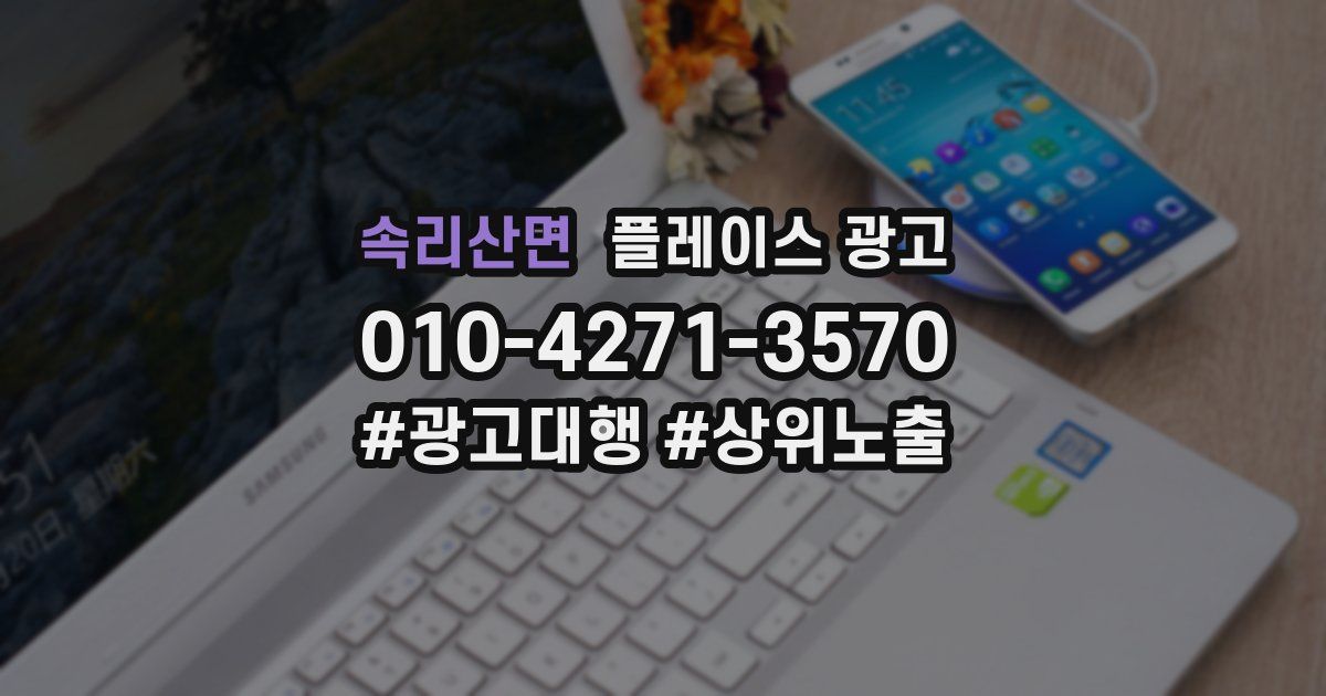속리산면 플레이스 광고