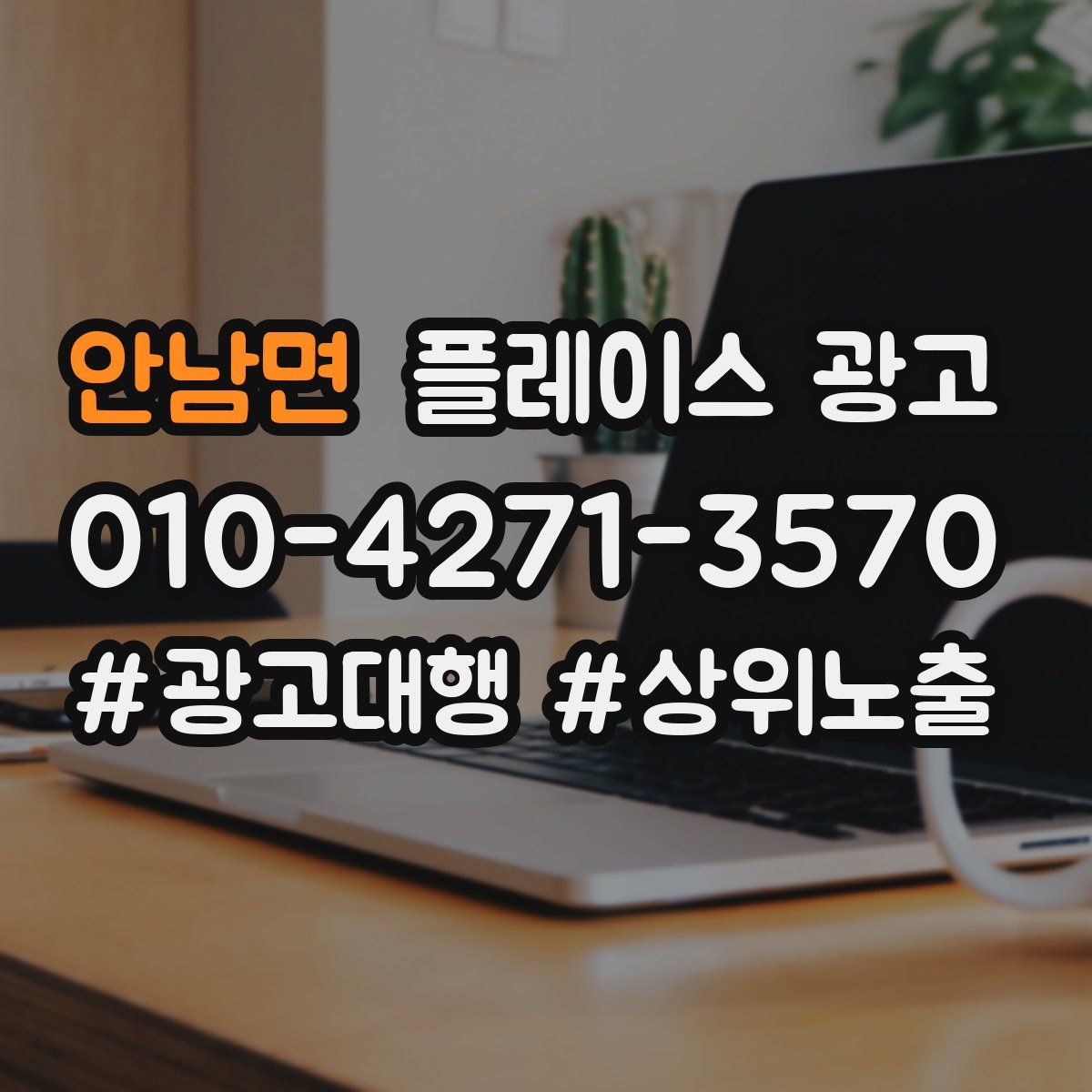 안남면 플레이스 광고