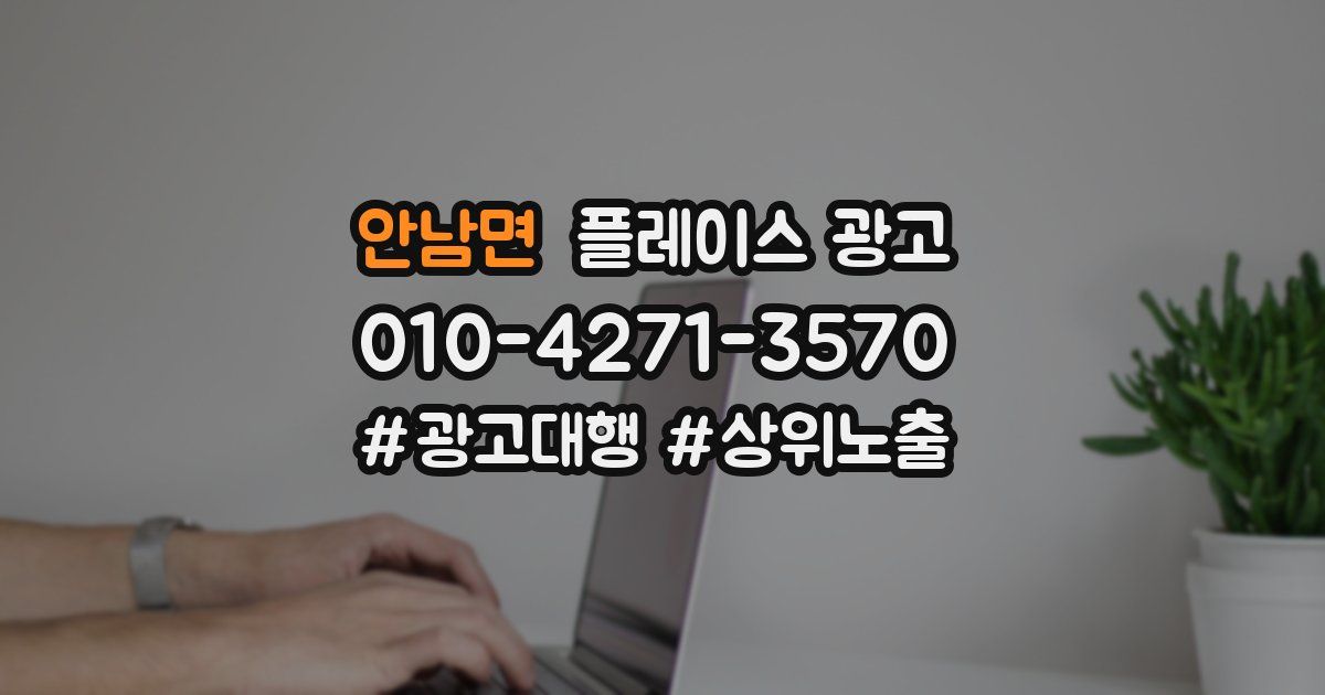 안남면 플레이스 광고