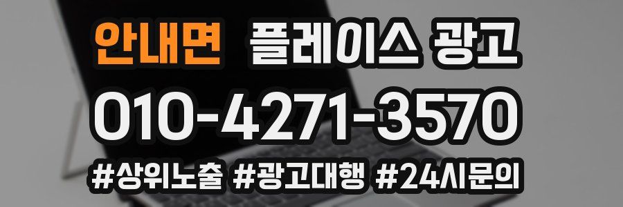 안내면 플레이스 광고