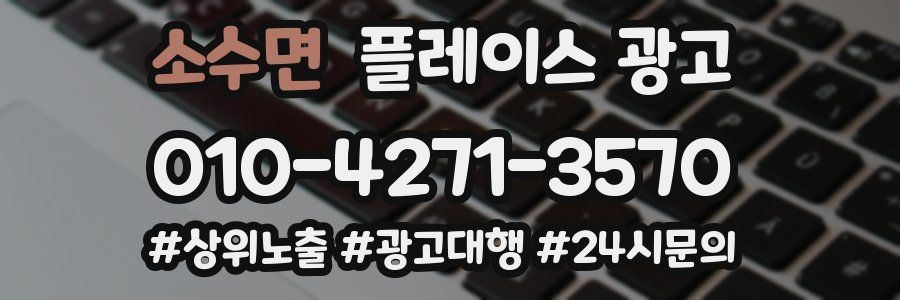 소수면 플레이스 광고