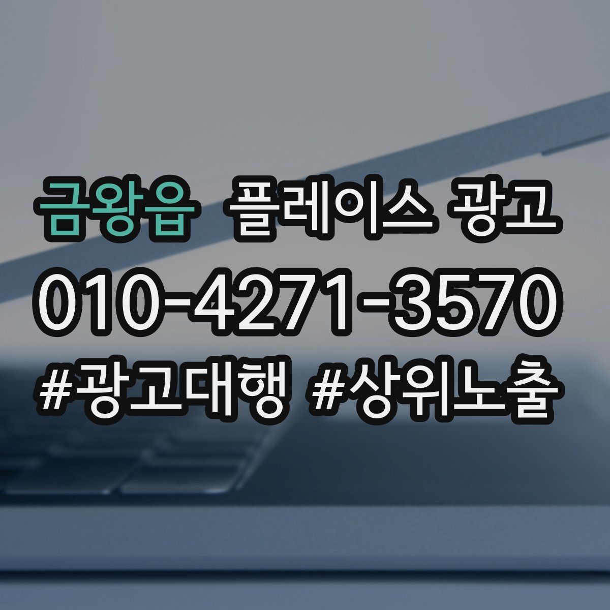 금왕읍 플레이스 광고
