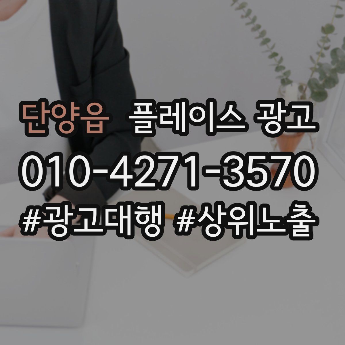 단양읍 플레이스 광고