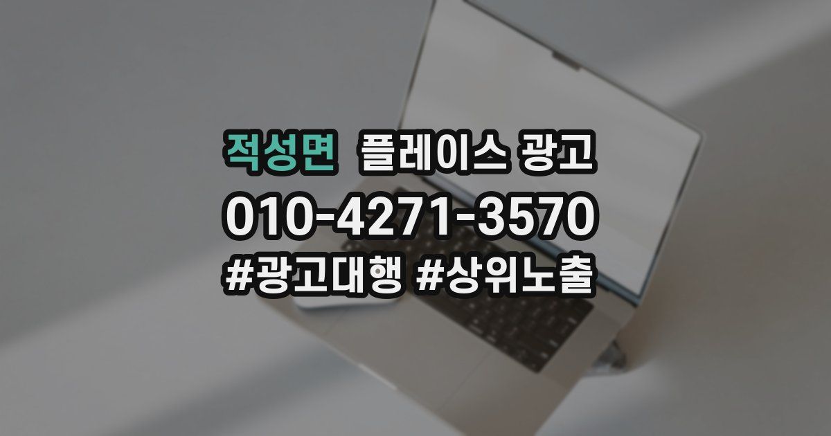 적성면 플레이스 광고