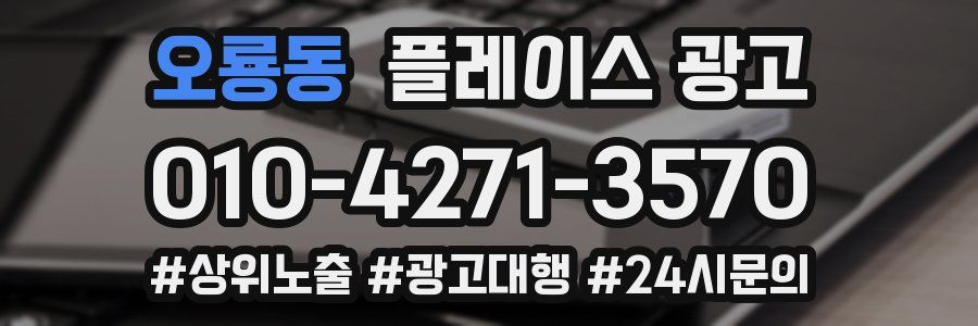 오룡동 플레이스 광고