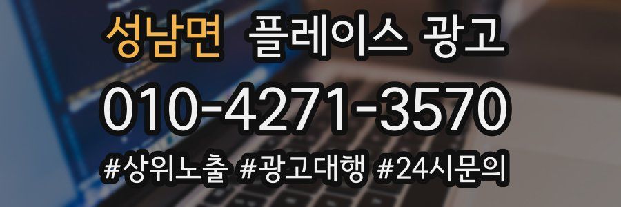 성남면 플레이스 광고