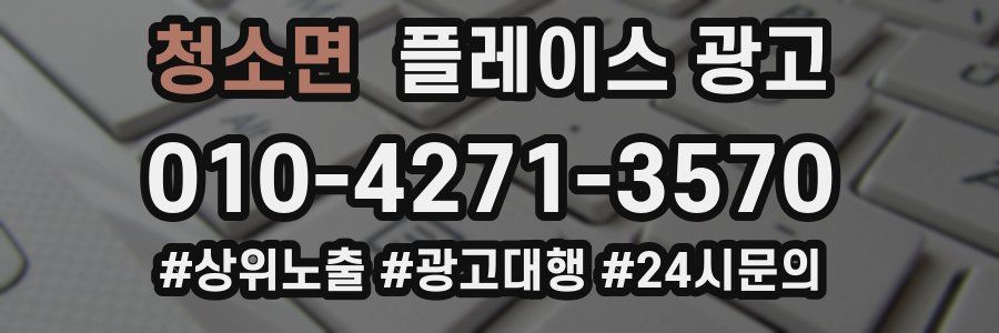 청소면 플레이스 광고