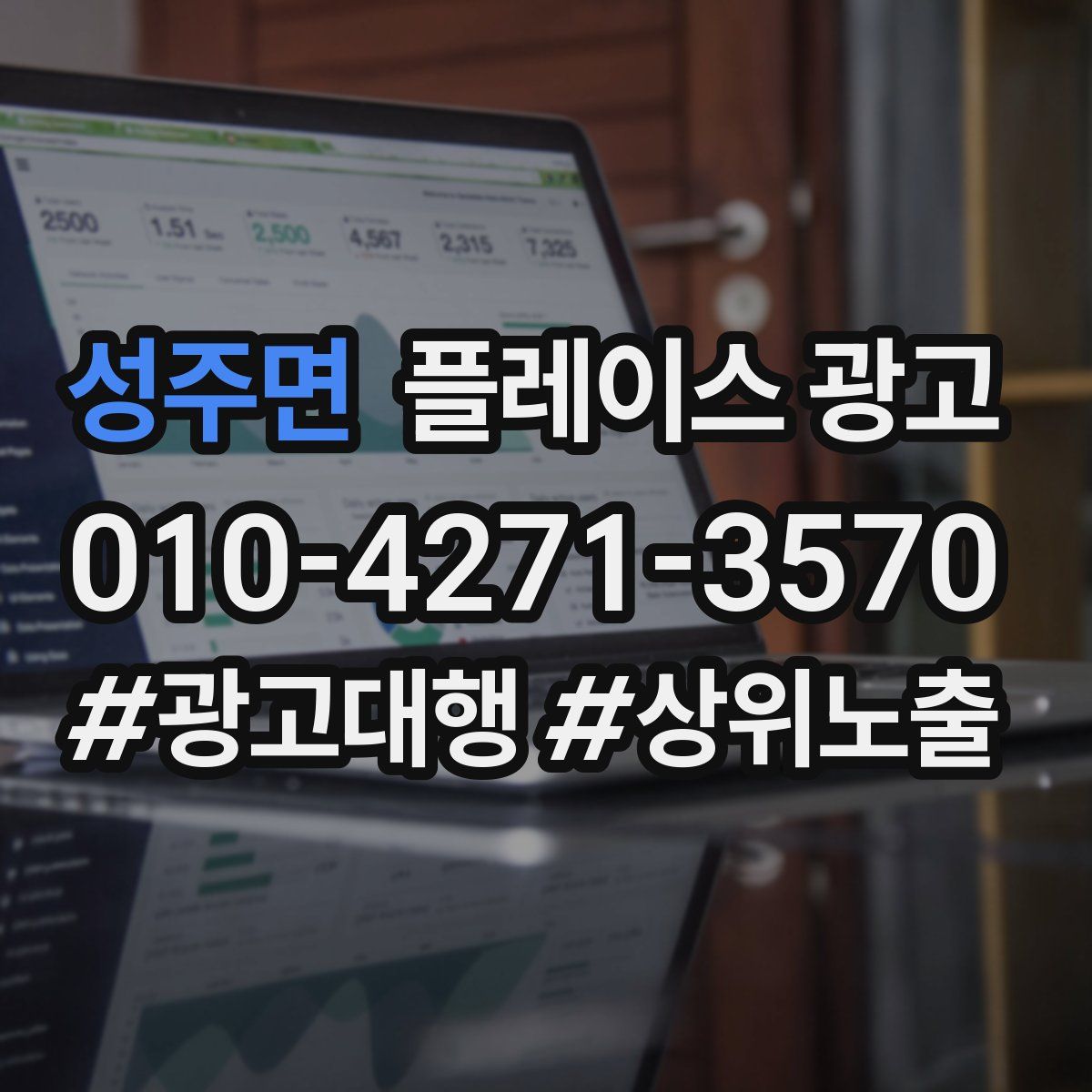 성주면 플레이스 광고