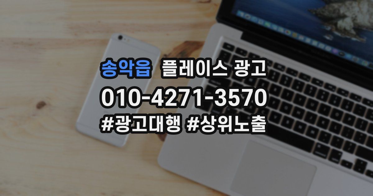 송악읍 플레이스 광고