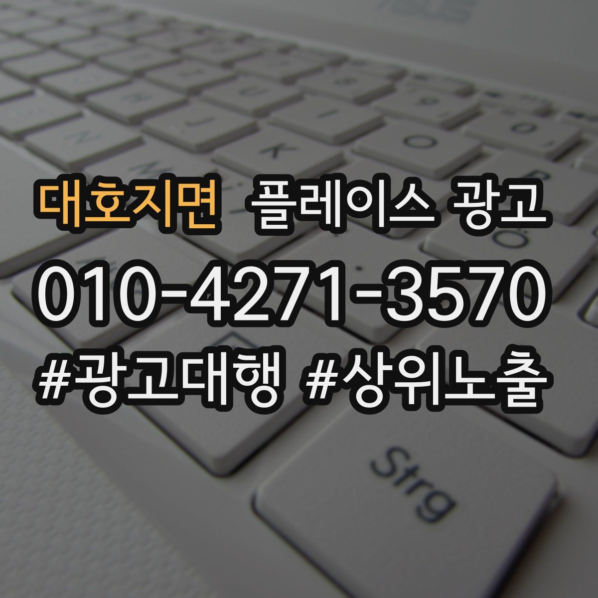 대호지면 플레이스 광고