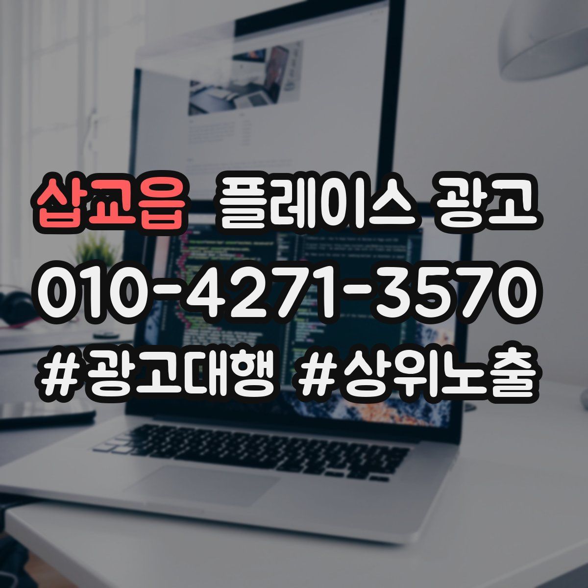 삽교읍 플레이스 광고