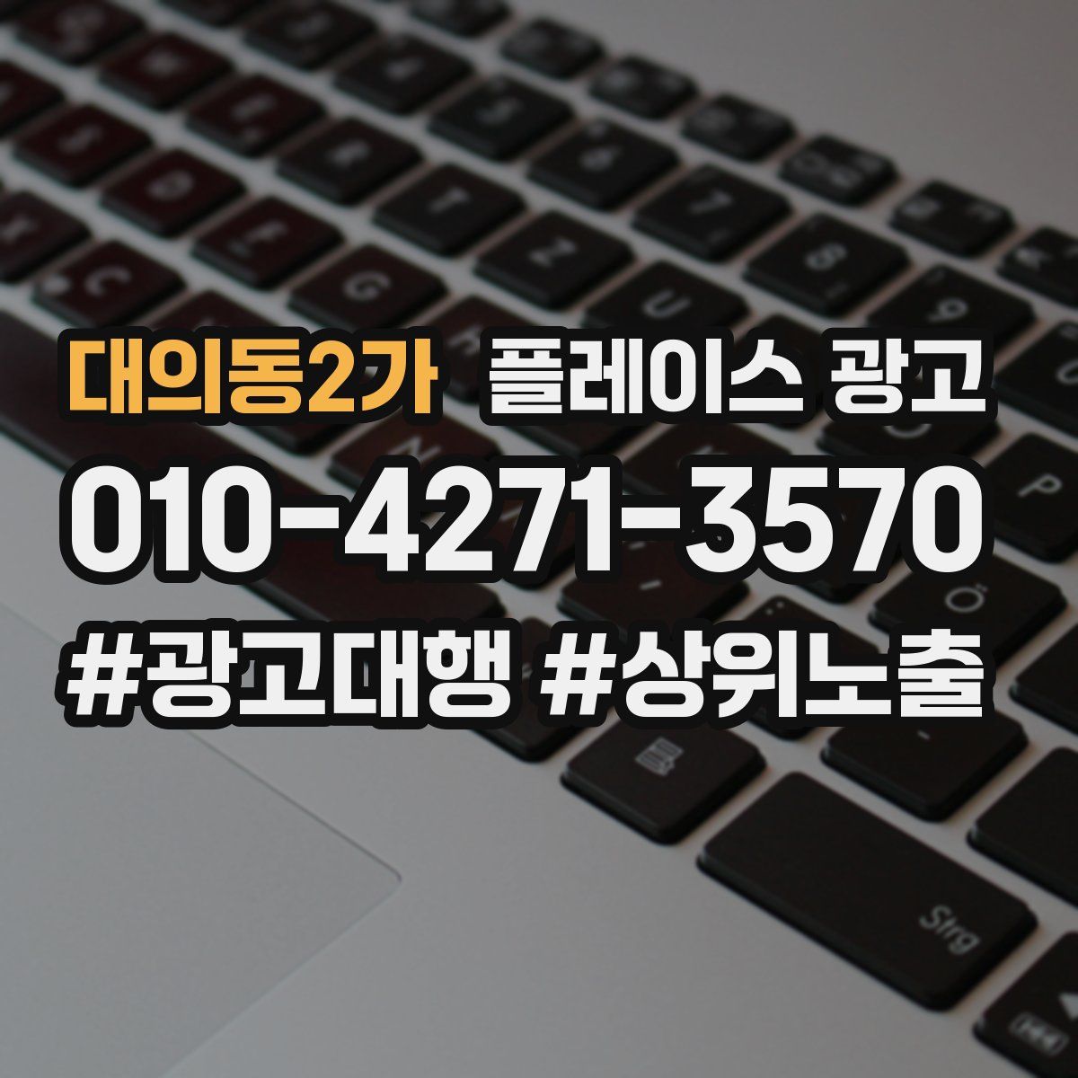 대의동2가 플레이스 광고
