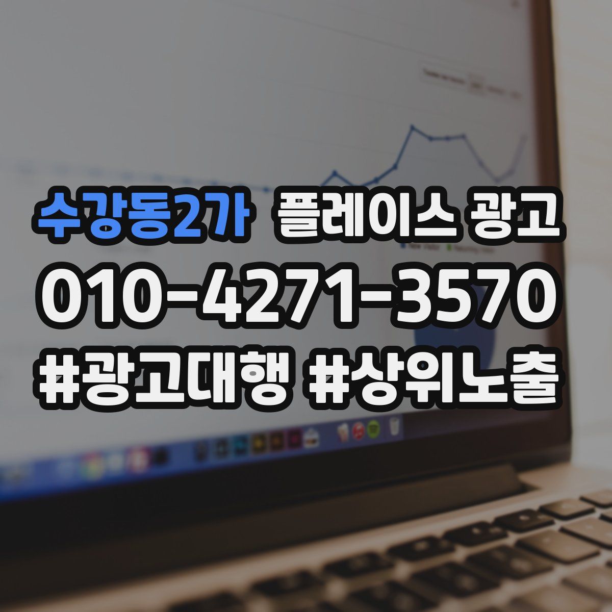 수강동2가 플레이스 광고
