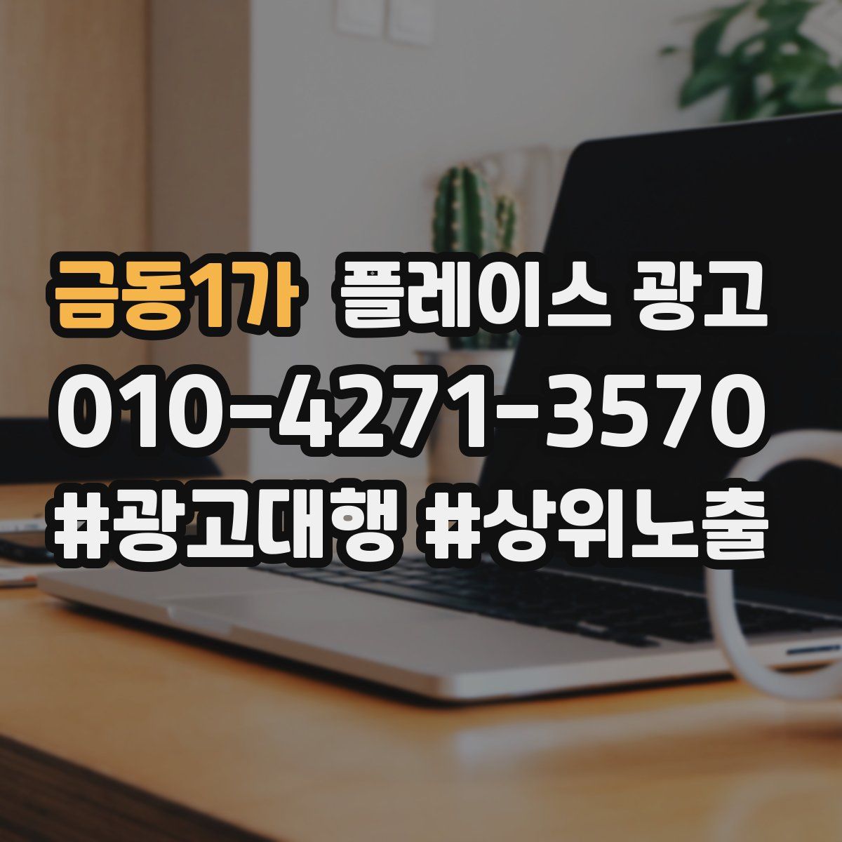 금동1가 플레이스 광고