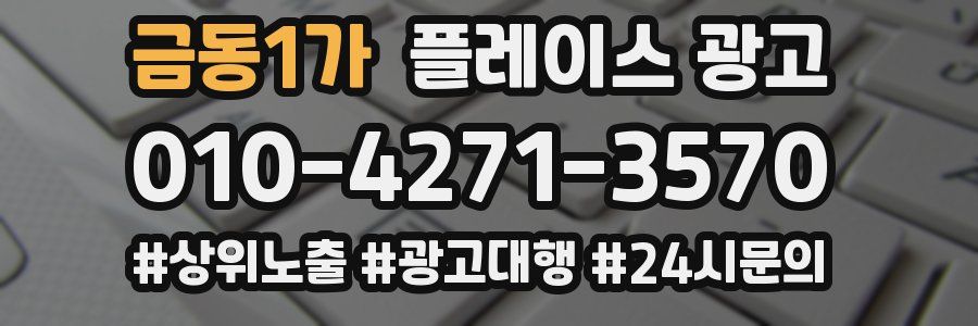 금동1가 플레이스 광고