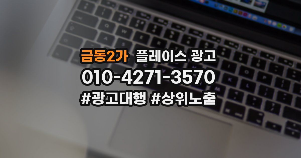 금동2가 플레이스 광고