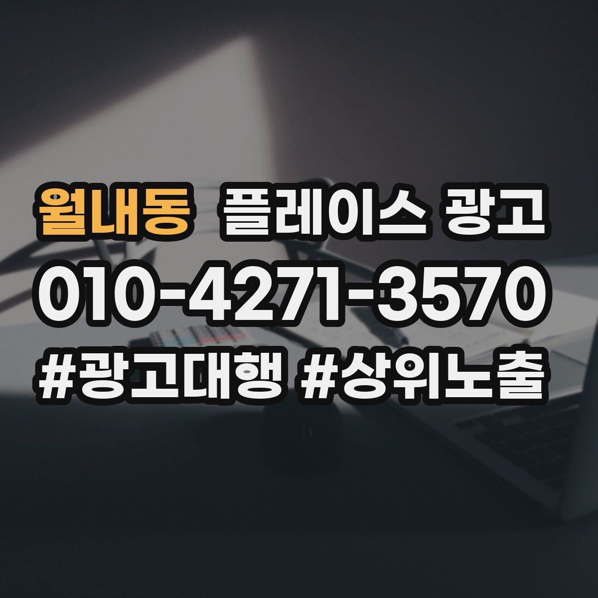 월내동 플레이스 광고