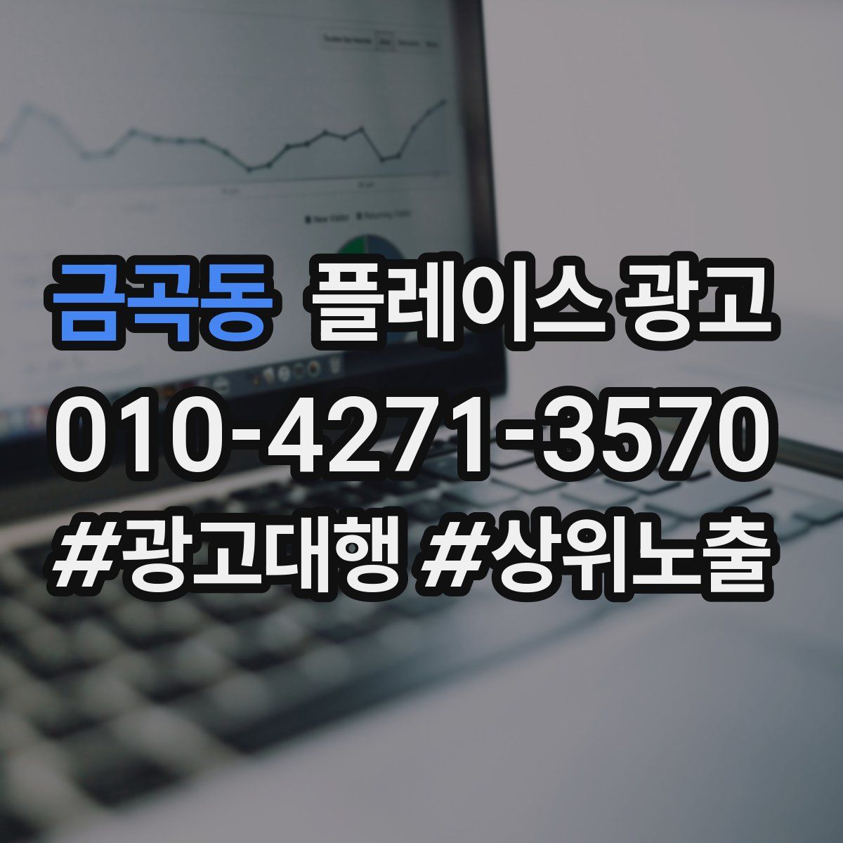 금곡동 플레이스 광고