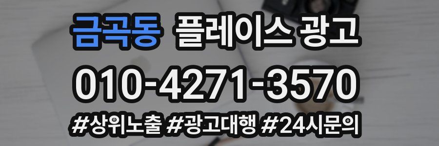 금곡동 플레이스 광고