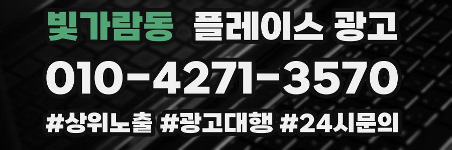 빛가람동 플레이스 광고