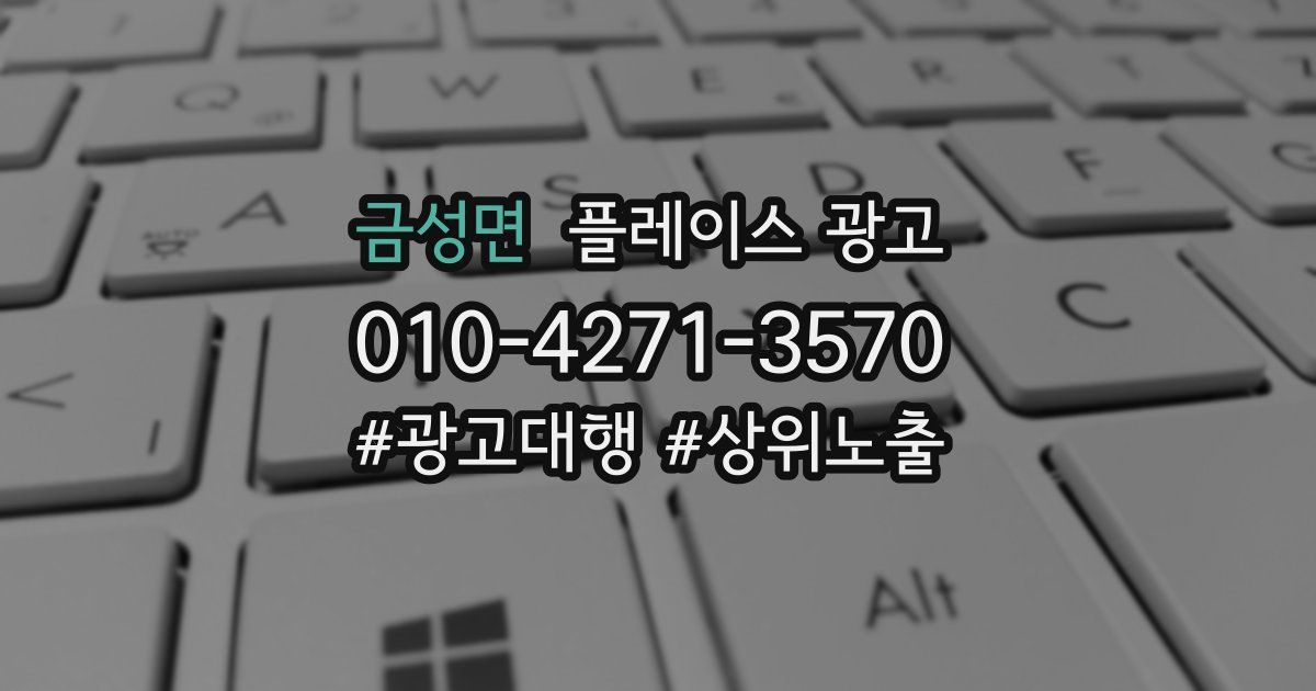 금성면 플레이스 광고