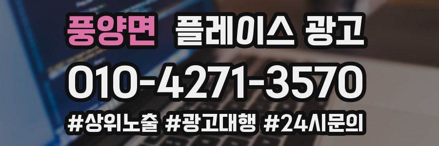 풍양면 플레이스 광고