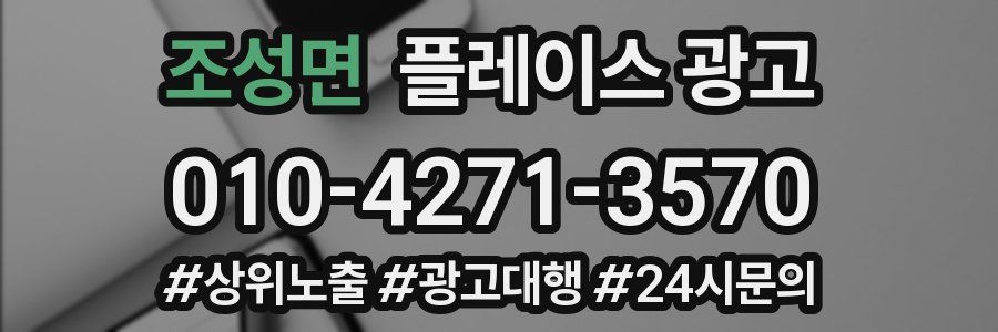 조성면 플레이스 광고