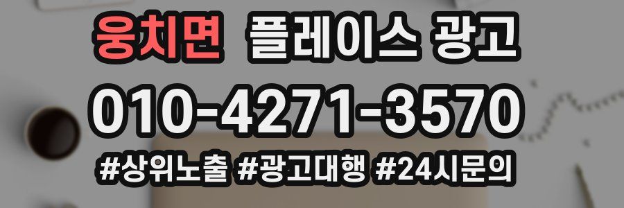 웅치면 플레이스 광고