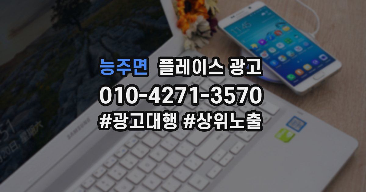 능주면 플레이스 광고