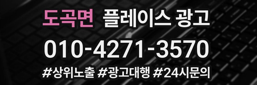 도곡면 플레이스 광고