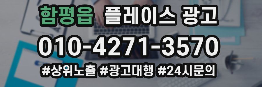 함평읍 플레이스 광고