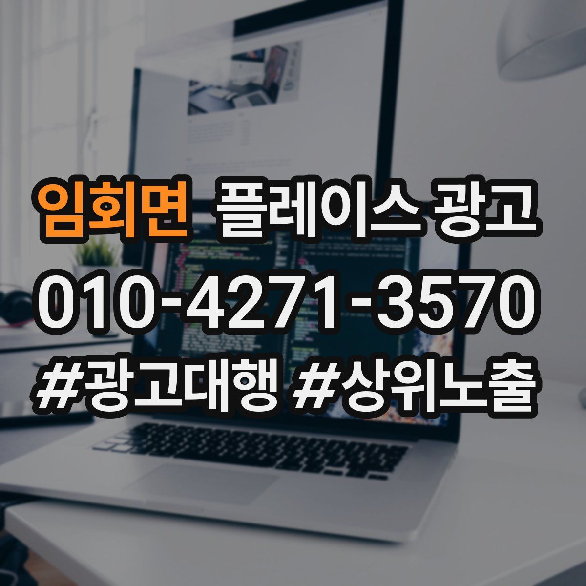 임회면 플레이스 광고