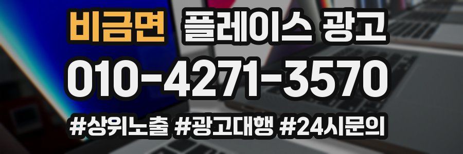 비금면 플레이스 광고