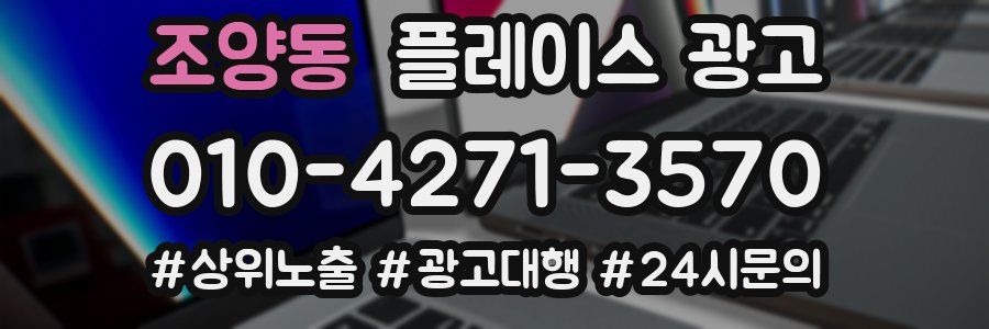 조양동 플레이스 광고