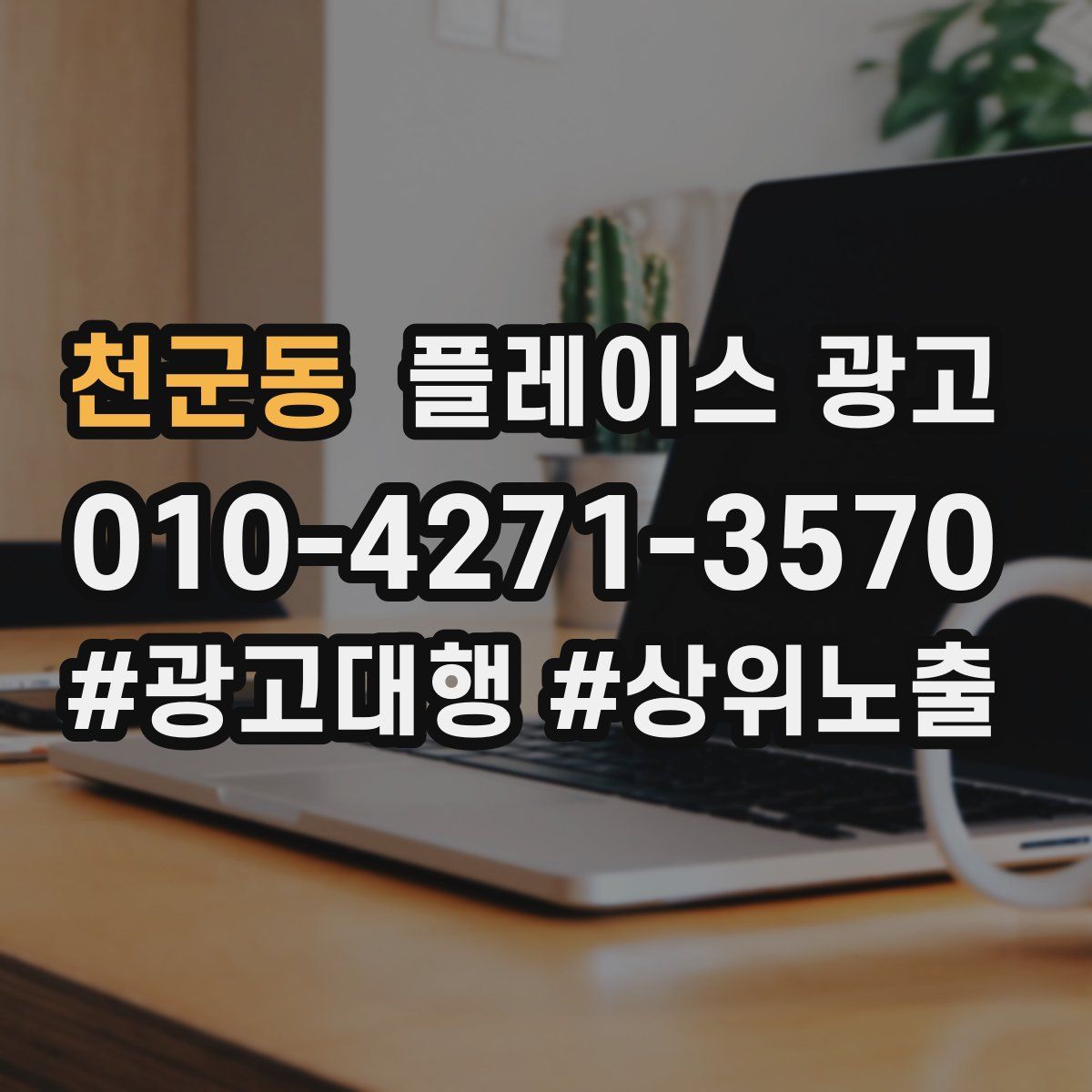 천군동 플레이스 광고