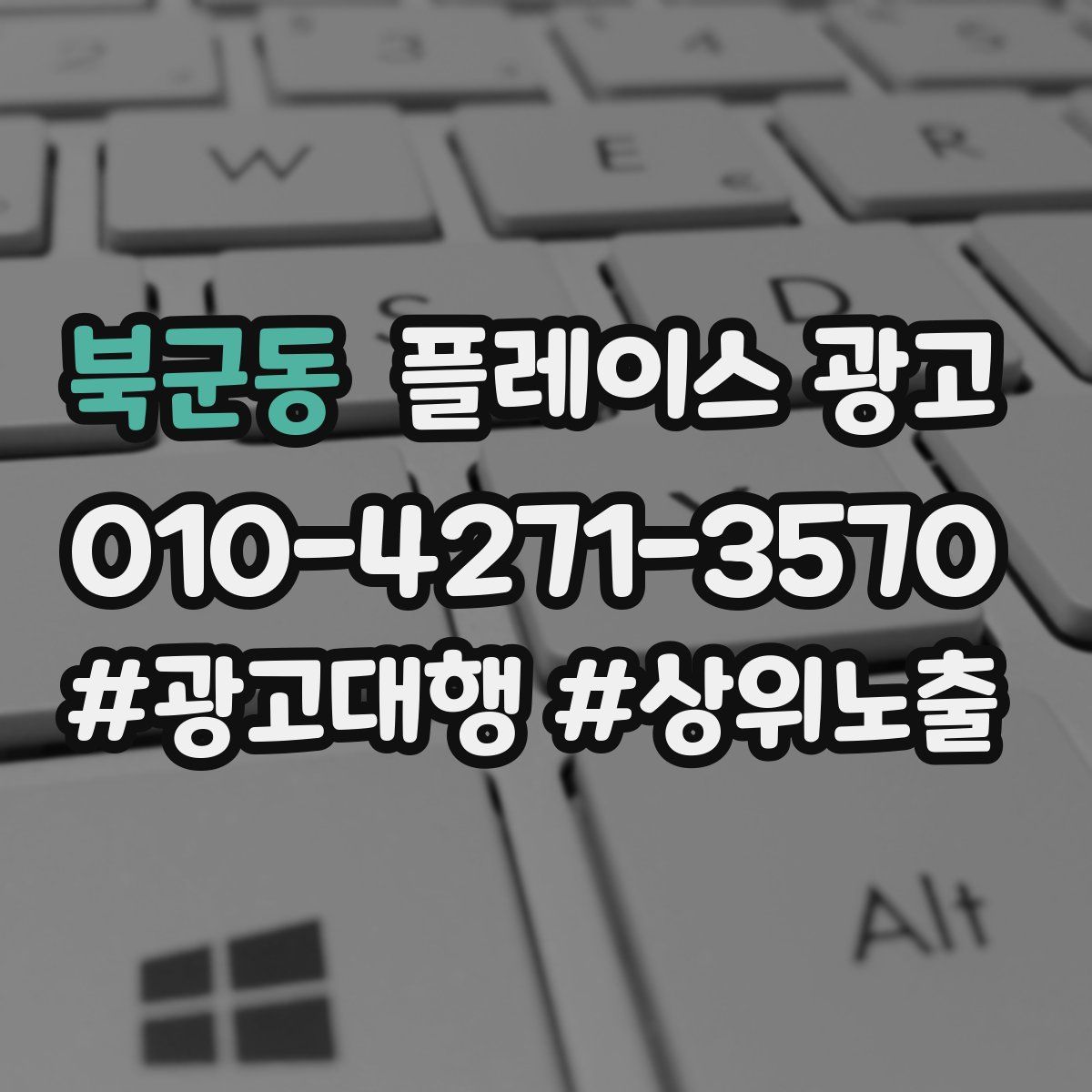 북군동 플레이스 광고