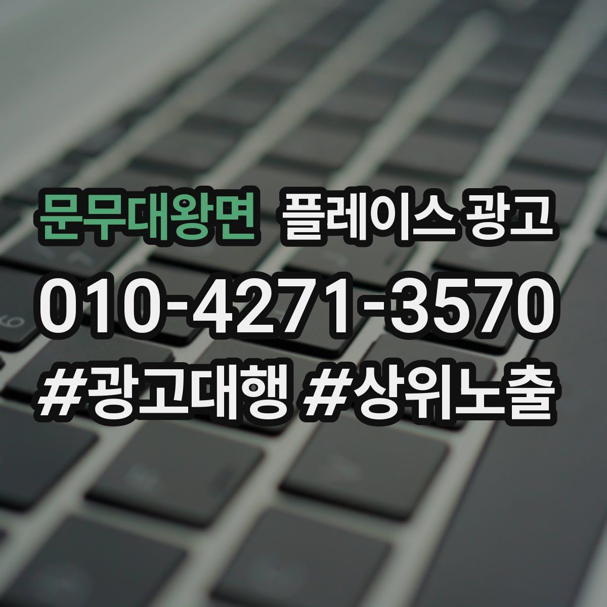 문무대왕면 플레이스 광고