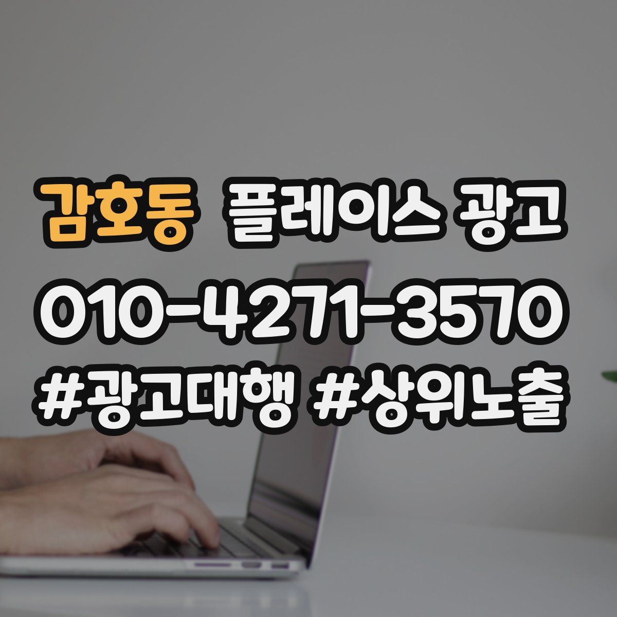 감호동 플레이스 광고