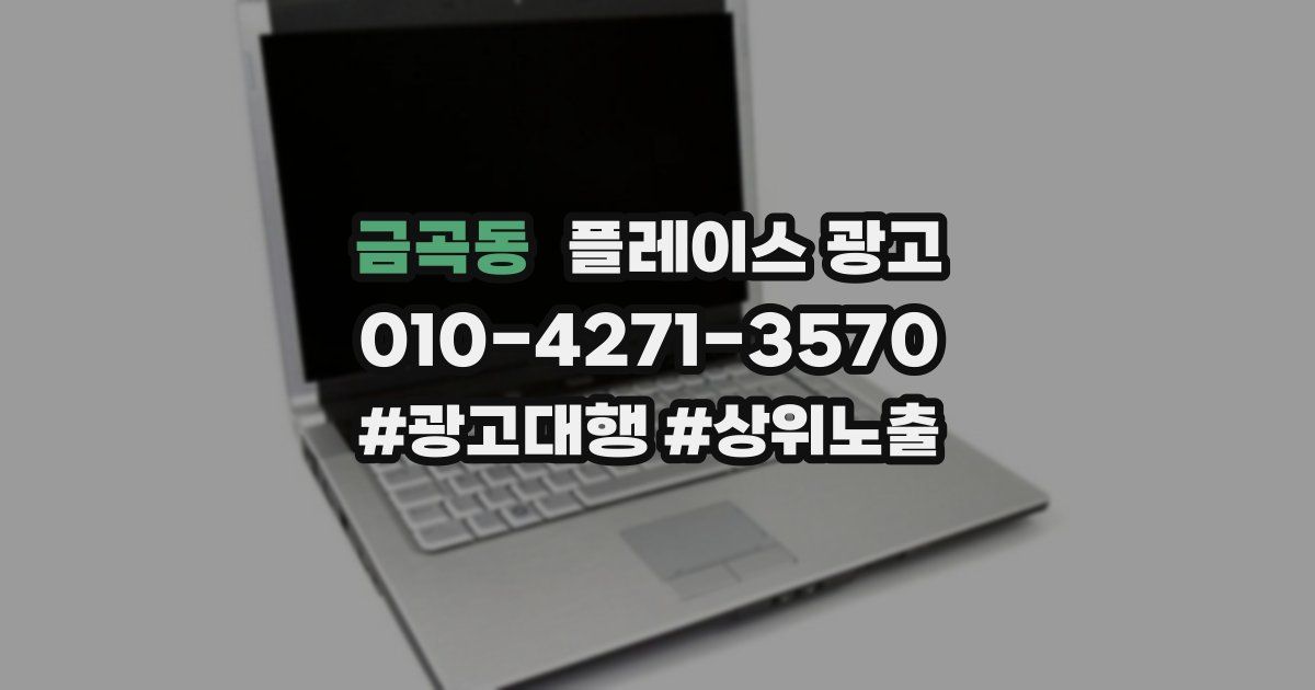 금곡동 플레이스 광고