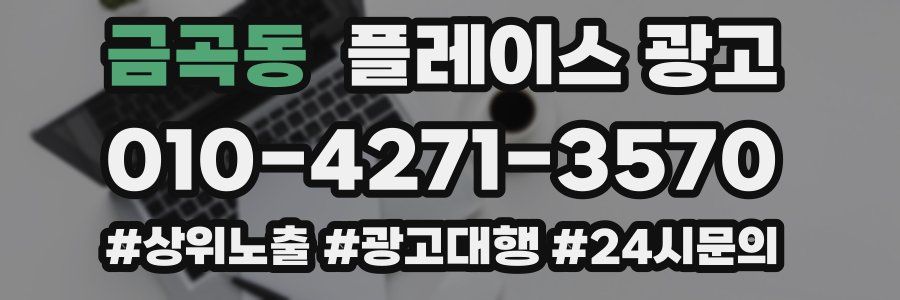 금곡동 플레이스 광고