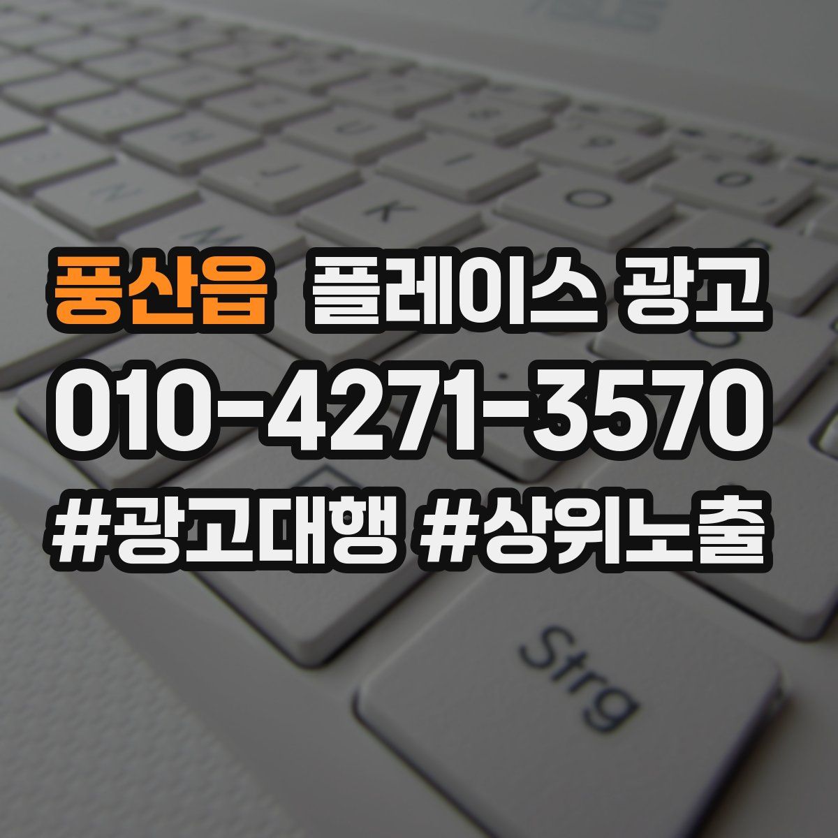 풍산읍 플레이스 광고