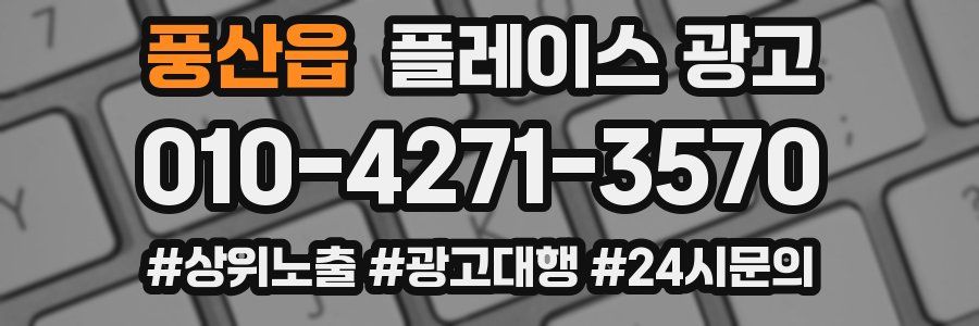 풍산읍 플레이스 광고