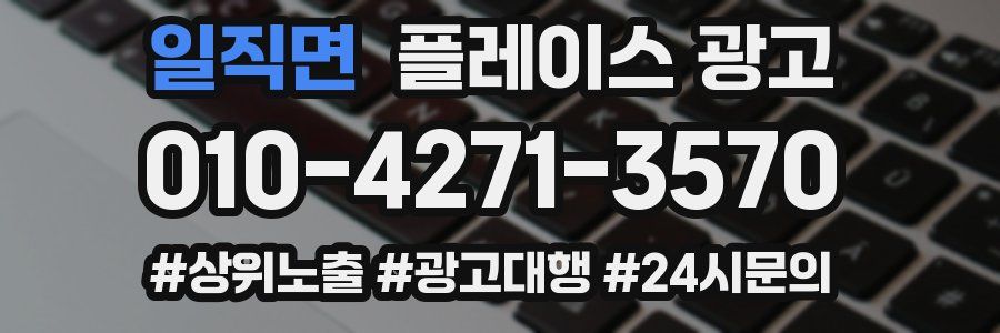 일직면 플레이스 광고