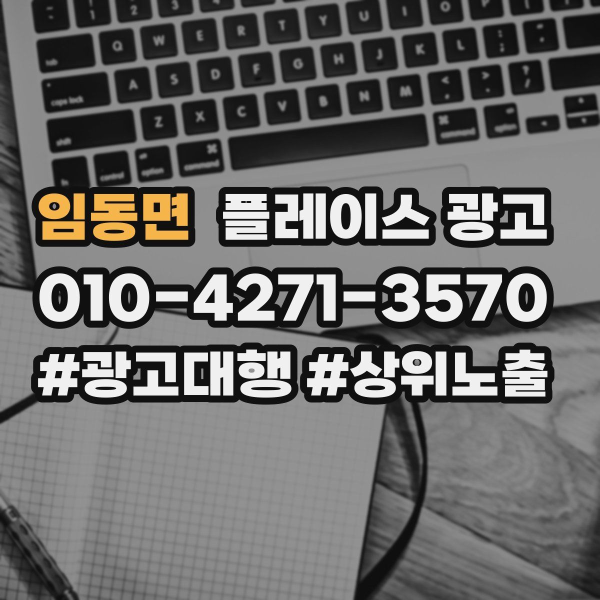 임동면 플레이스 광고