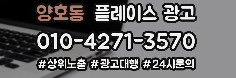 양호동 플레이스 광고
