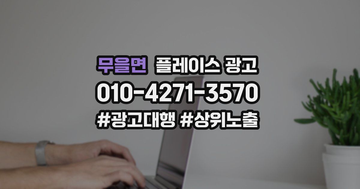 무을면 플레이스 광고