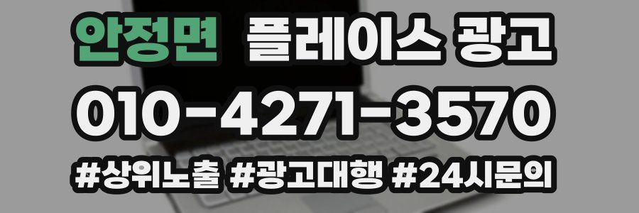 안정면 플레이스 광고