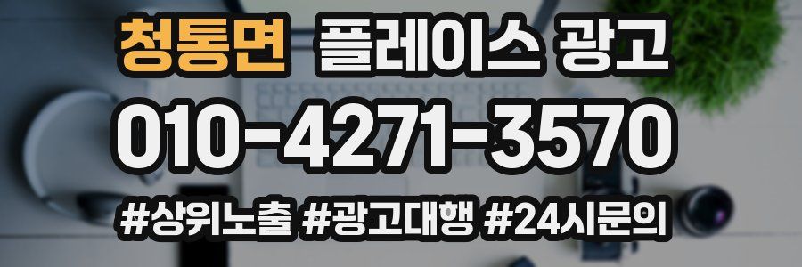 청통면 플레이스 광고