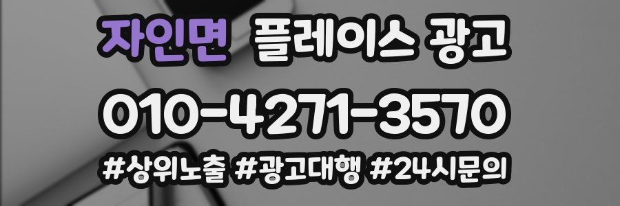 자인면 플레이스 광고